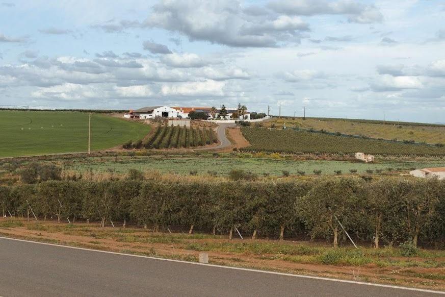 Quinta Do Castelo Hotel Beja Luaran gambar